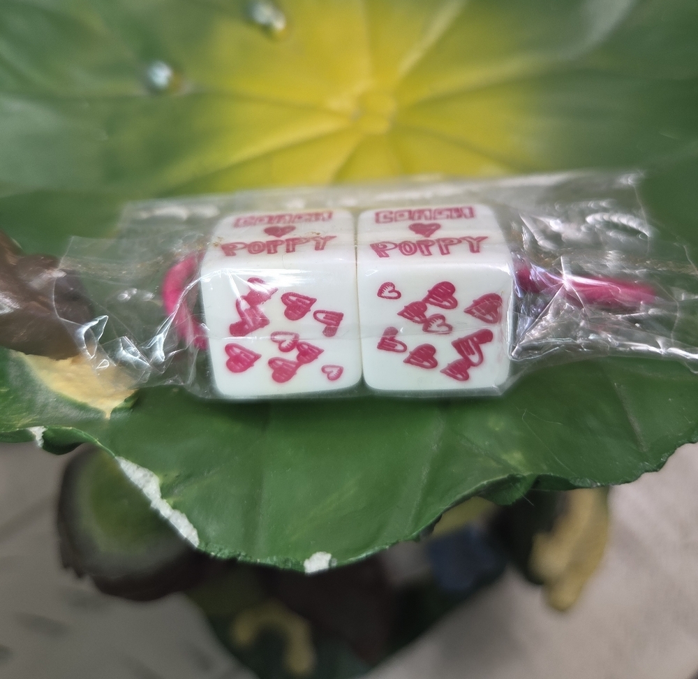 Coach Poppy !¡RARE¡! Hair Cubes (Hair Tie), White NWOT - Picture 3 of 6